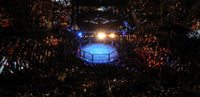 UFC Fighter's Collection